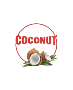 Coconut Family